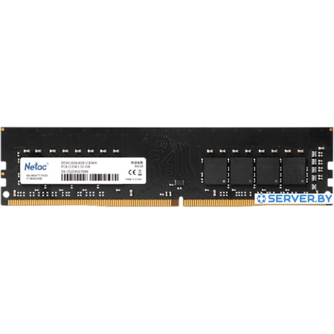 Оперативная память Netac Basic 16GB DDR4 PC4-21300 NTBSD4P26SP-16. Фото 1