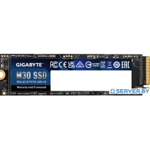 SSD Gigabyte M30 1TB GP-GM301TB-G