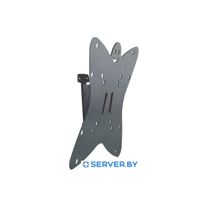 Кронштейн Holder LCDS-5051. Фото1