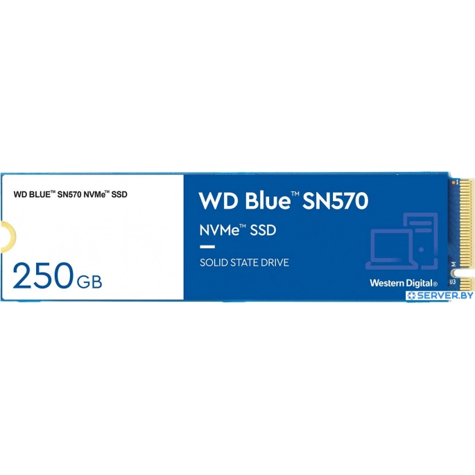 SSD WD Blue SN570 250GB WDS250G3B0C. Фото1