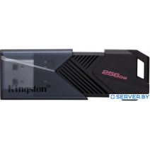 USB Flash Kingston DataTraveler Exodia Onyx 256GB