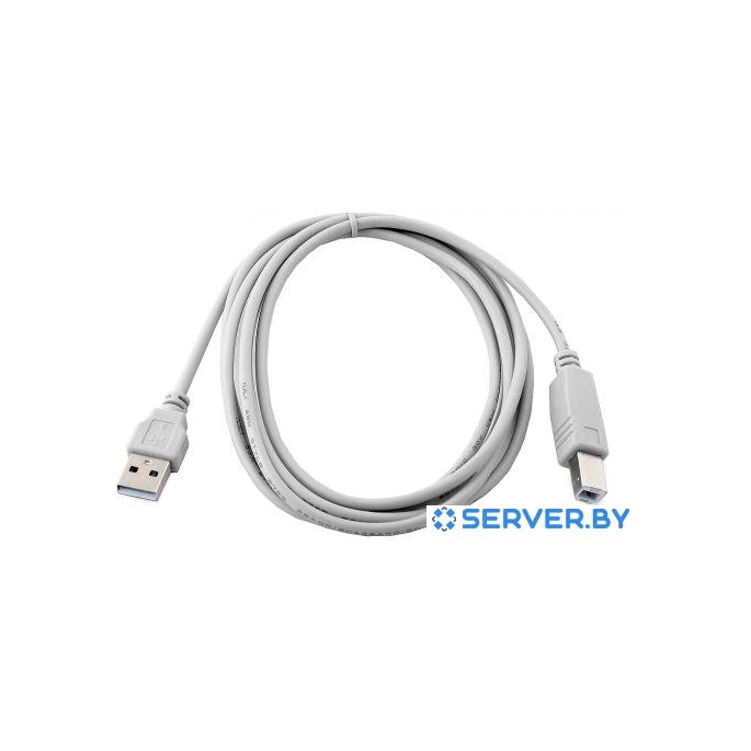 Кабель Cablexpert CC-USB2-AMBM-6. Фото1