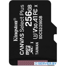 Карта памяти Kingston Canvas Select Plus microSDXC 256GB