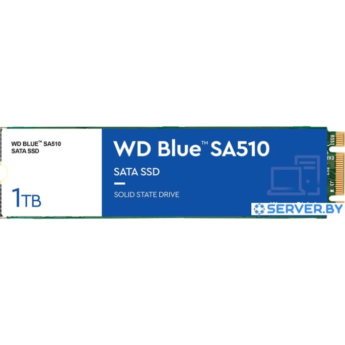 SSD WD Blue 1TB WDS100T3B0B. Фото1
