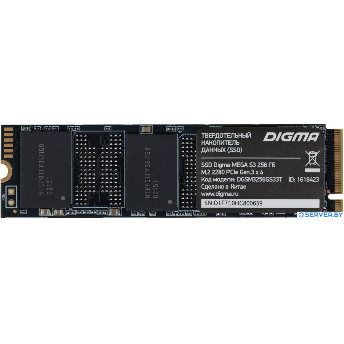 SSD Digma Mega S3 256GB DGSM3256GS33T. Фото1