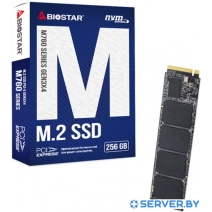 SSD BIOSTAR M760 256GB M760-256GB