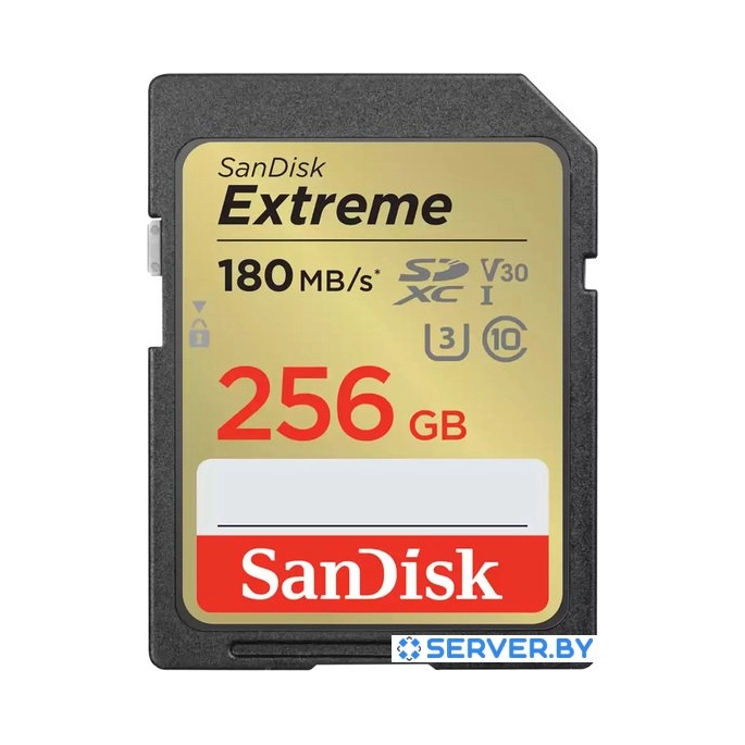 Карта памяти SanDisk Extreme SDXC SDSDXVV-256G-GNCIN 256GB. Фото 1