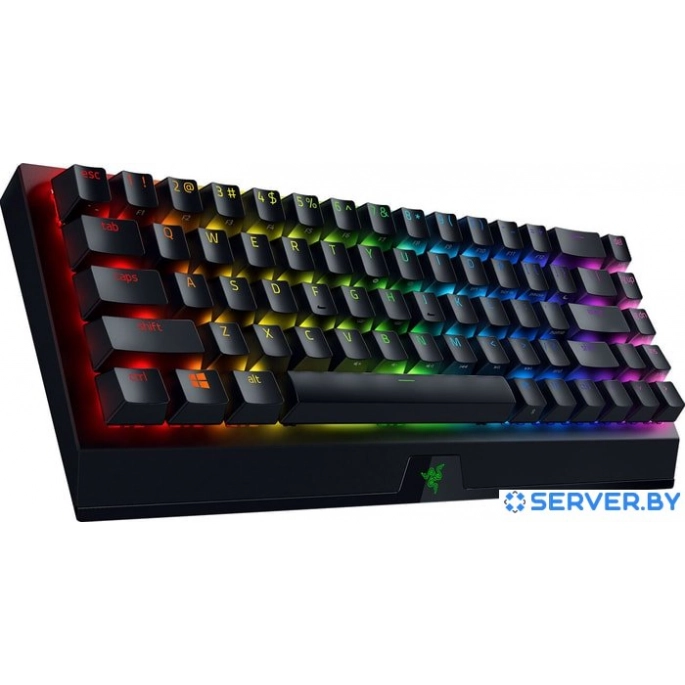Клавиатура Razer Blackwidow V3 Mini HyperSpeed Green Switch. Фото2