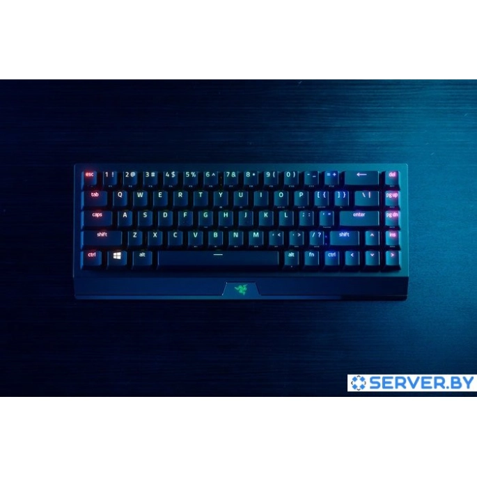 Клавиатура Razer Blackwidow V3 Mini HyperSpeed Green Switch. Фото4