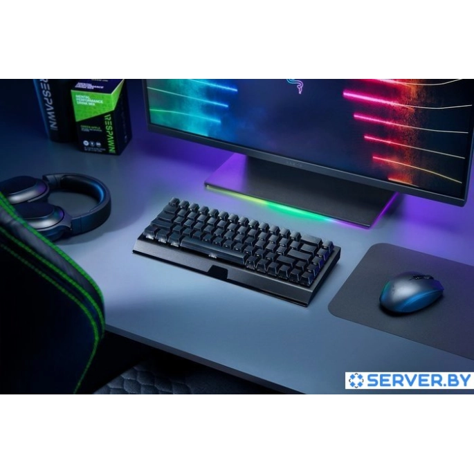 Клавиатура Razer Blackwidow V3 Mini HyperSpeed Green Switch. Фото5
