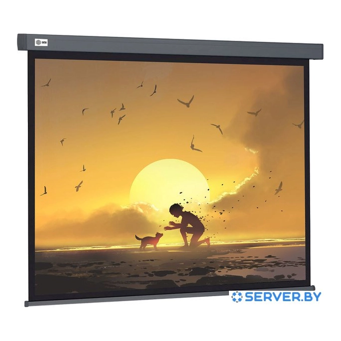 Проекционный экран CACTUS Wallscreen 124x221 CS-PSW-124X221-SG. Фото 1