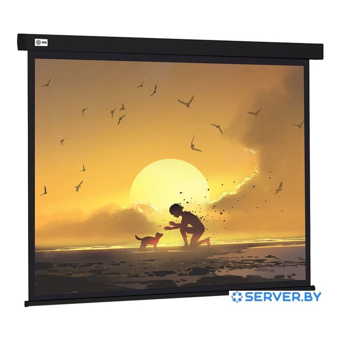Проекционный экран CACTUS Wallscreen 150x150 CS-PSW-150X150-BK. Фото1