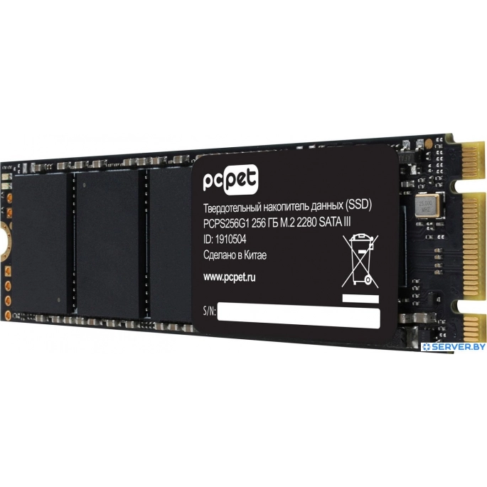 SSD PC Pet 256GB PCPS256G1. Фото 4