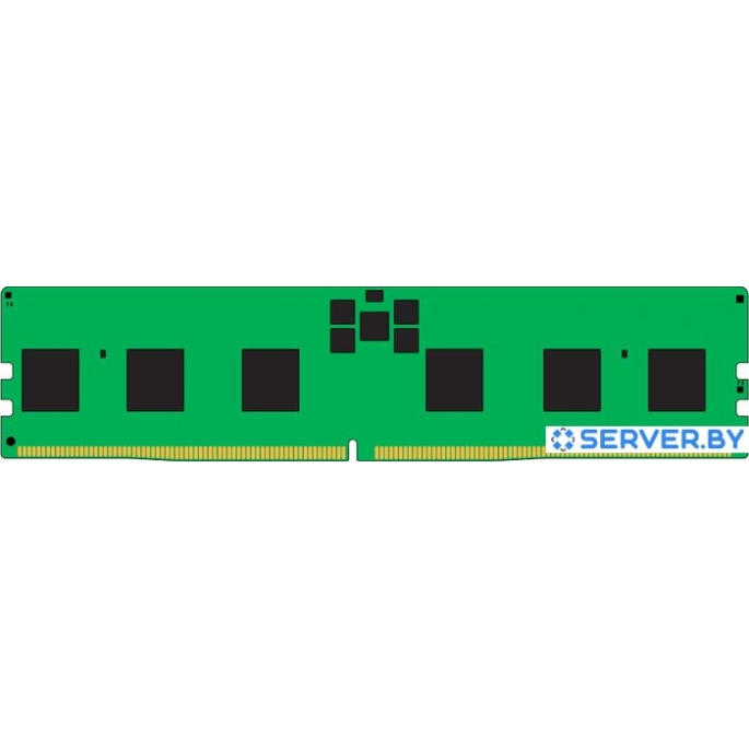 Оперативная память Kingston 16ГБ DDR5 5600 МГц KSM56R46BS8PMI-16HAI. Фото 1