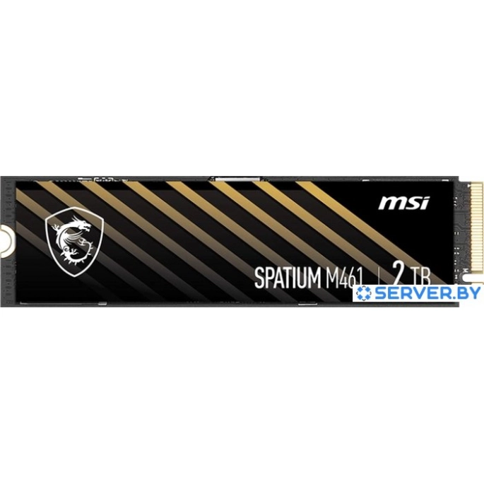 SSD MSI Spatium M461 2TB S78-440Q550-P83. Фото 1