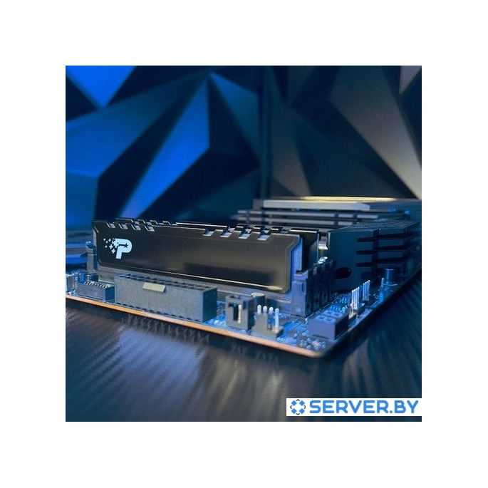 Оперативная память Patriot Signature Premium Line 16ГБ DDR5 5600 МГц PSP516G560081H1. Фото 4