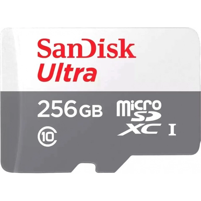 Карта памяти SanDisk Ultra microSDXC SDSQUNR-256G-GN3MN 256GB. Фото1