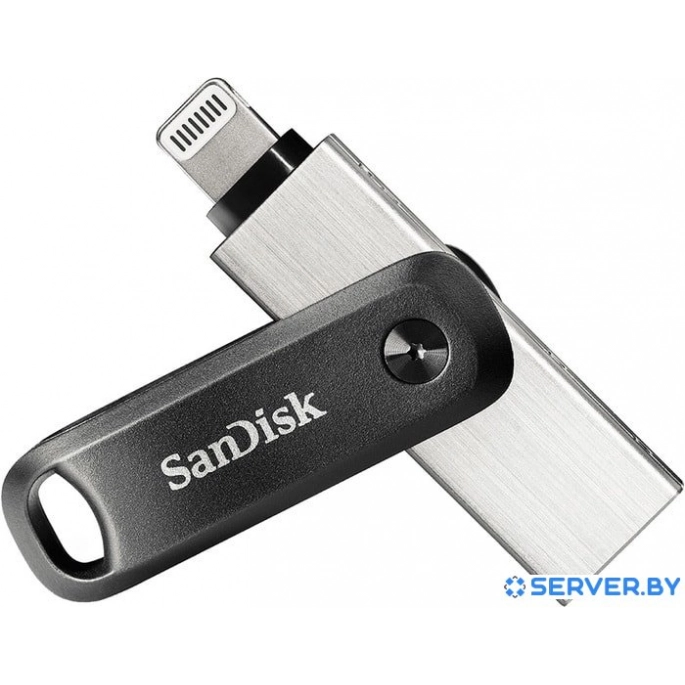 USB Flash SanDisk iXpand Go 64GB SDIX60N-064G-GN6NN. Фото1