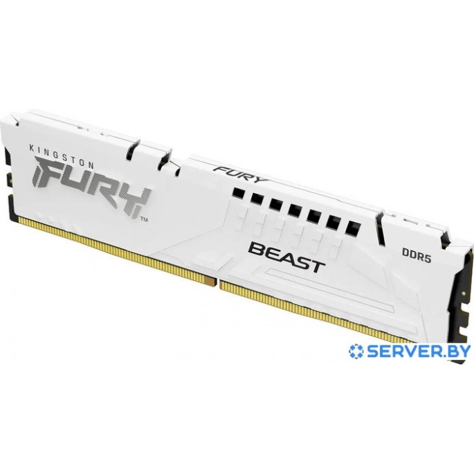 Оперативная память Kingston FURY Beast 32ГБ DDR5 5600 МГц KF556C36BWE-32. Фото 1