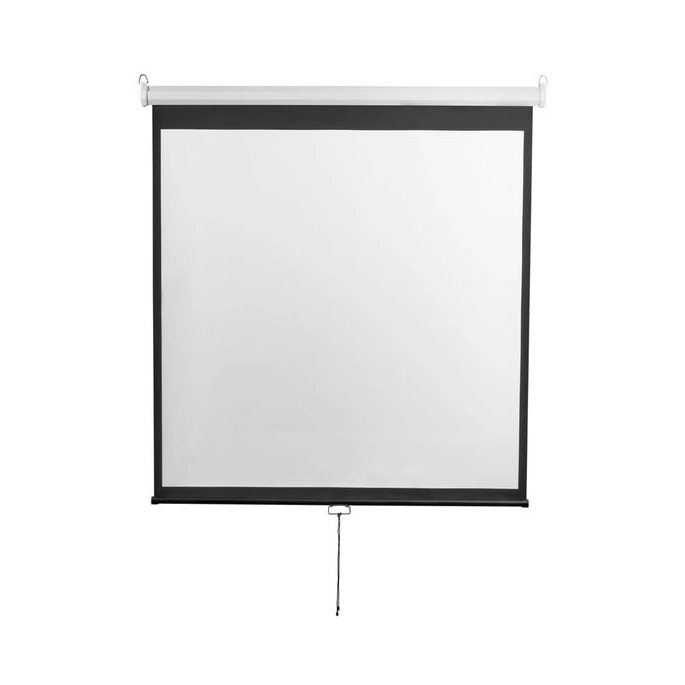 Проекционный экран Digis Optimal-D 308x229 DSOD-4306. Фото1