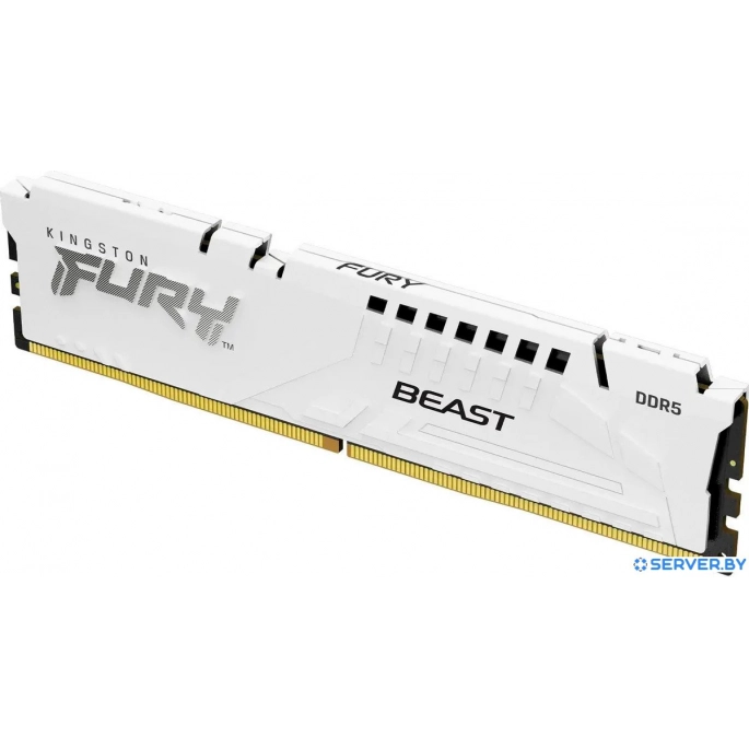Оперативная память Kingston FURY Beast 16ГБ DDR5 6000 МГц KF560C30BW-16. Фото 1