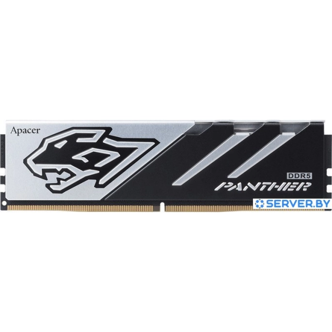 Оперативная память Apacer Panther 16ГБ DDR5 6400 МГц AH5U16G64C5527BAA-1. Фото 1
