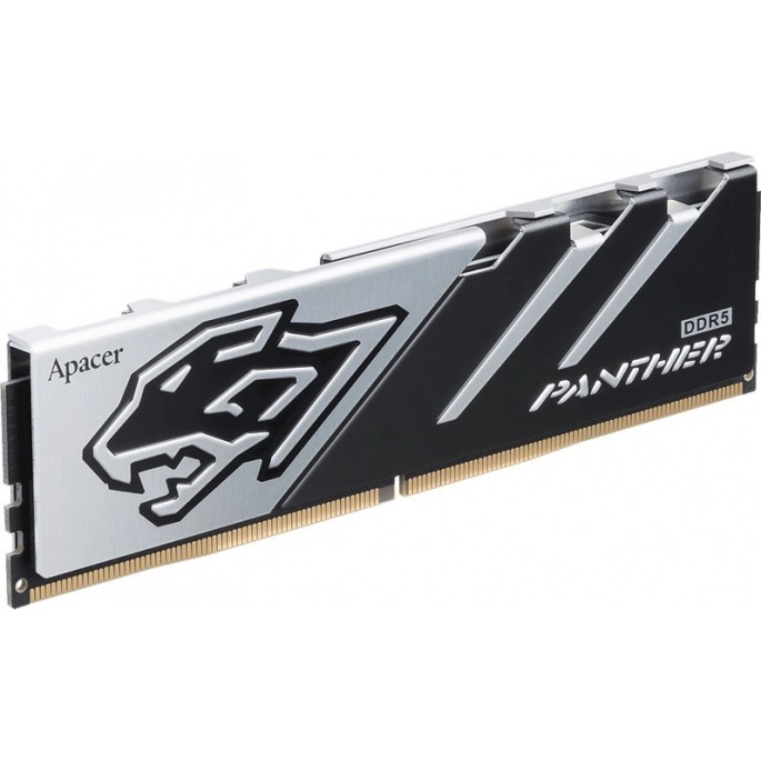 Оперативная память Apacer Panther 16ГБ DDR5 6400 МГц AH5U16G64C5527BAA-1. Фото 2