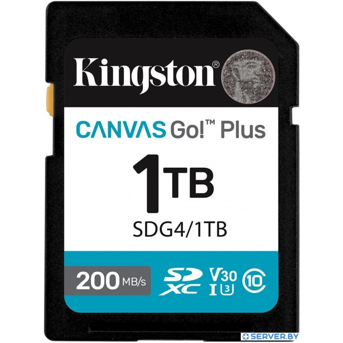 Карта памяти Kingston Canvas Go! Plus SDXC 1TB SDG4/1TB. Фото 1