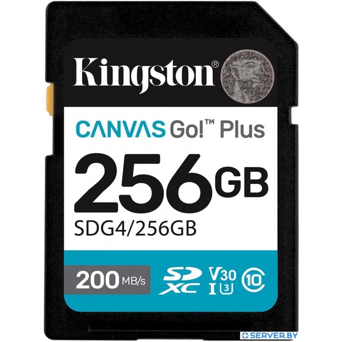 Карта памяти Kingston Canvas Go! Plus SDXC 256GB SDG4/256GB. Фото1
