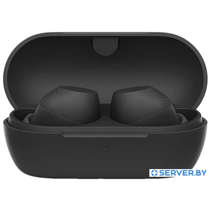 Наушники Sony WF-C710N (черный). Фото 1