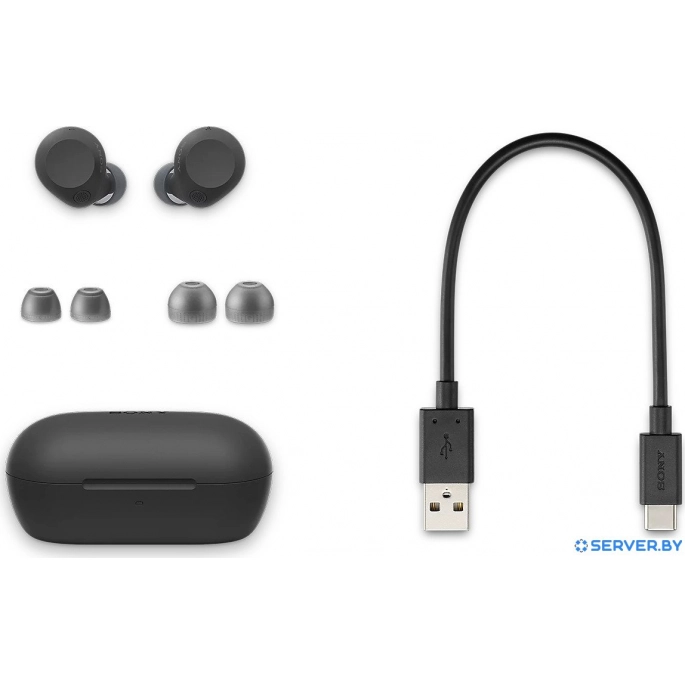 Наушники Sony WF-C710N (черный). Фото 4