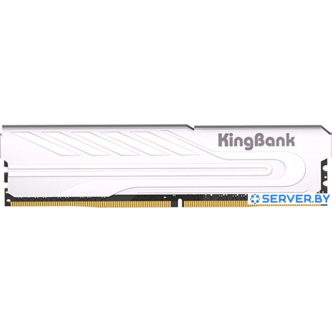 Оперативная память KingBank KJXS 8ГБ DDR4 3200 МГц K5.01.FP049C7202. Фото 1