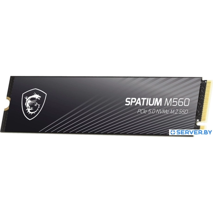 SSD MSI Spatium M560 1TB S78-440L0F0-P83. Фото 2