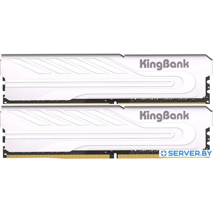 Оперативная память KingBank KJXS 2x8ГБ DDR4 3200 МГц K5.01.FP049C9201. Фото 1