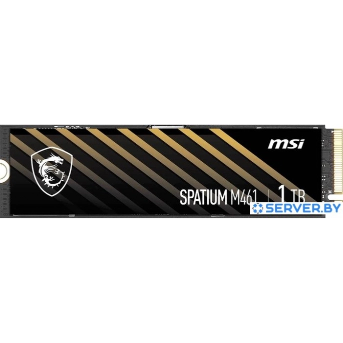 SSD MSI Spatium M461 1TB S78-440L1D0-P83. Фото 1