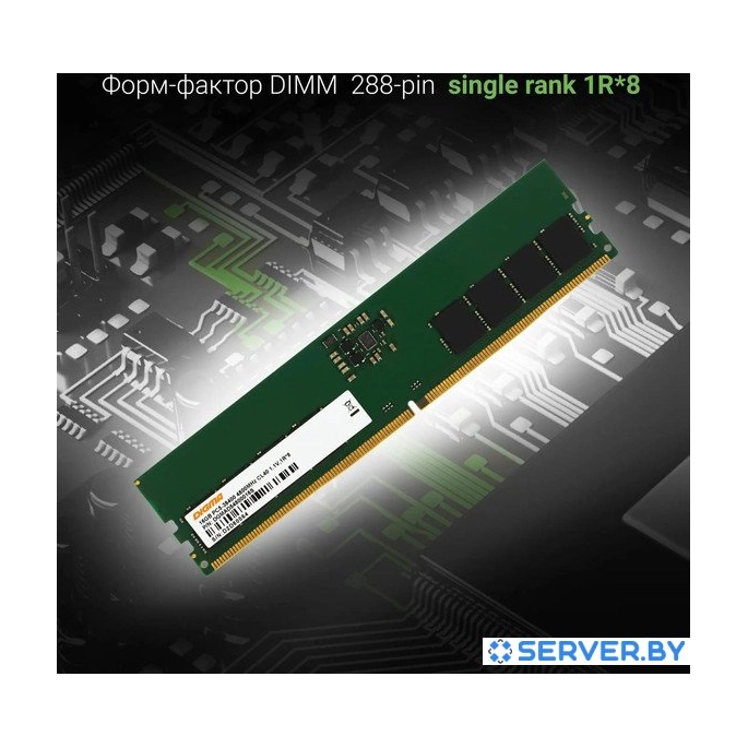 Оперативная память Digma 16ГБ DDR5 4800 МГц DGMAD54800016S. Фото 3