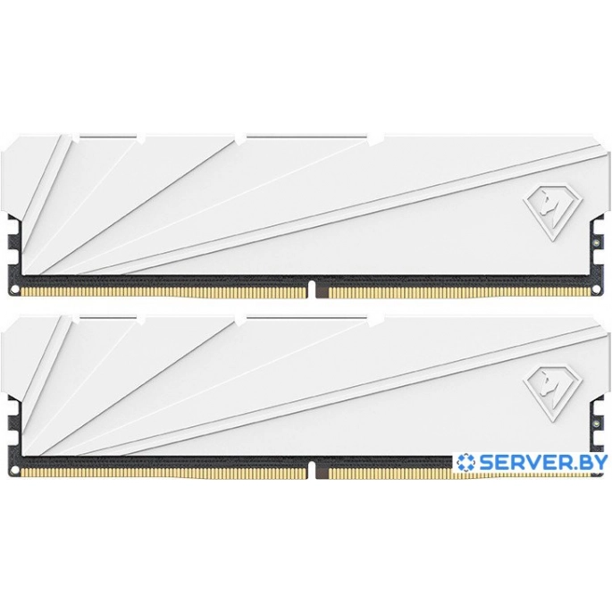 Оперативная память Netac Shadow S 2x16ГБ DDR4 3200 МГц NTSSD4P32DP-32W. Фото 1