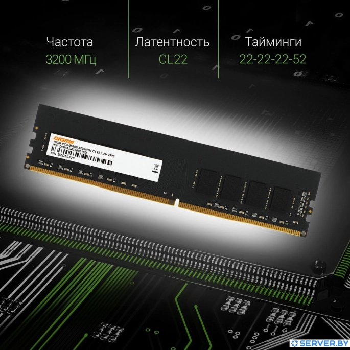 Оперативная память Digma 16ГБ DDR4 3200 МГц DGMAD43200016D. Фото5