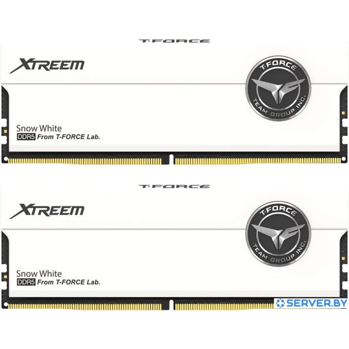 Оперативная память Team T-Force Xtreem 2x16ГБ DDR5 8000 МГц FFWD532G8000HC38DDC01. Фото 1