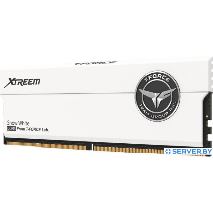Оперативная память Team T-Force Xtreem 2x16ГБ DDR5 8000 МГц FFWD532G8000HC38DDC01. Фото 2