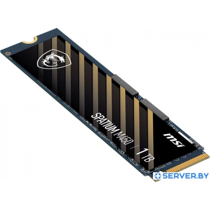 SSD MSI Spatium M450 1TB S78-440L980-P83. Фото 3