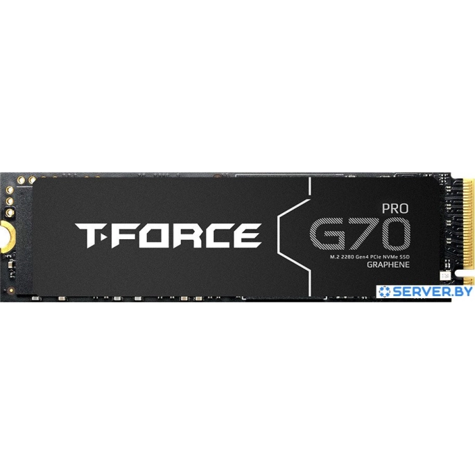 SSD Team T-Force G70 Pro 2TB TM8FFH002T0C129. Фото 1