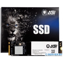 SSD AGI AI198 256GB AGI256G66AI198
