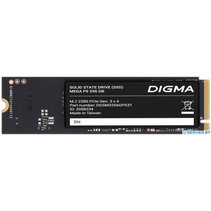 SSD Digma Mega P5 256GB DGSM3256GP53T. Фото 1