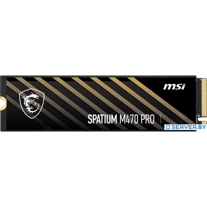 SSD MSI Spatium M470 Pro 1TB S78-440L0J0-P83. Фото 1
