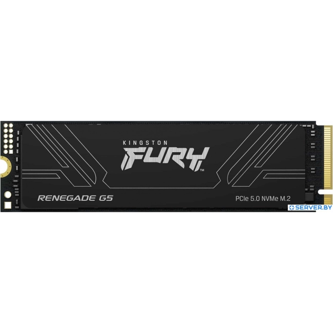 SSD Kingston Fury Renegade G5 4TB SFYR2S/4T0. Фото 1