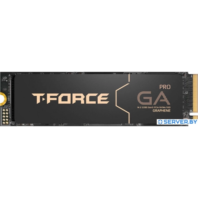 SSD Team T-Force GA PRO 1TB TM8FFJ001T0C129. Фото 1