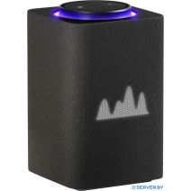 Умная колонка Яндекс Станция Макс (с хабом умного дома Zigbee, графит)