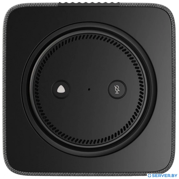 Умная колонка Яндекс Станция Макс (с хабом умного дома Zigbee, графит). Фото 2