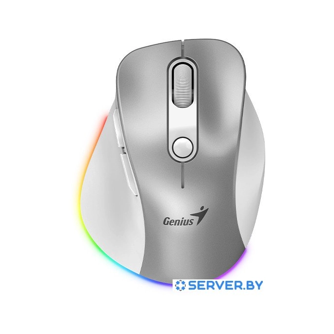 Мышь Genius Ergo 9000S Pro (серебристый). Фото 1